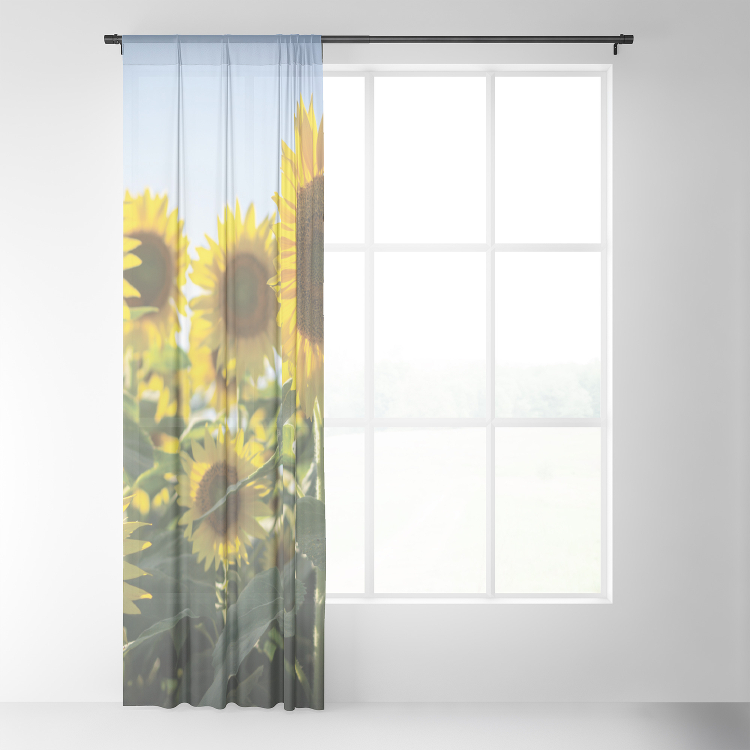 Sunflowers Sheer Curtain By Nlmiller07art Society6