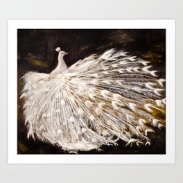 White Peacock Oil Painting Art Print