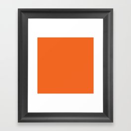 Autumn Gourd Orange  Framed Art Print