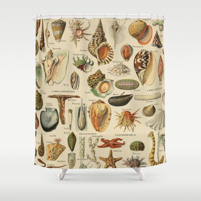 Vintage sealife and seashell illustration Shower Curtain
