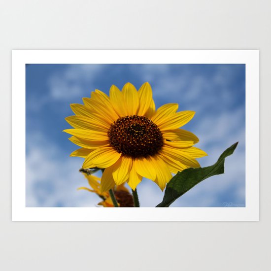 Sunflower Art Print