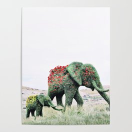 Blossom Elephants Poster