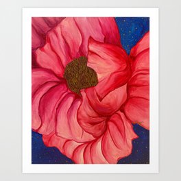 Pink Poppy II Art Print