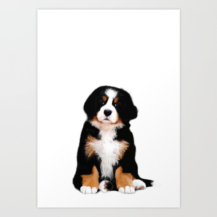 Bernese Mountain Dog Puppy Art Print By Scubaprincess Society6