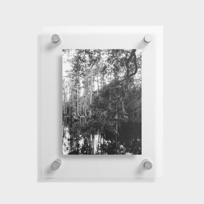 Monochrome Charleston Cypress Gardens III Floating Acrylic Print