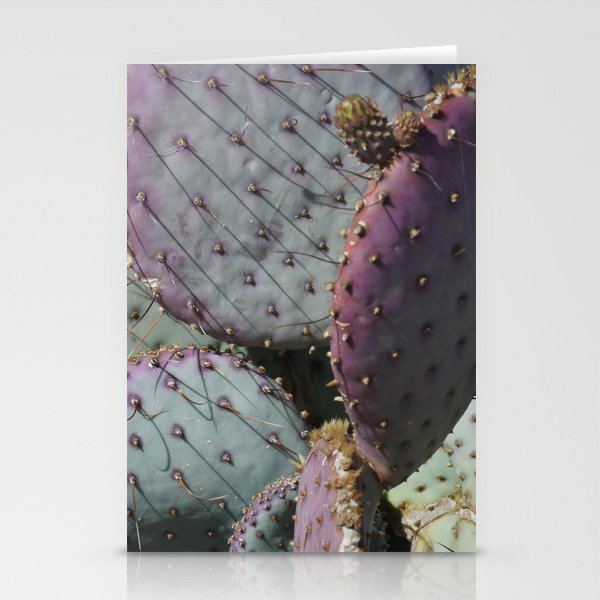 Cactus Whiskers Stationery Cards