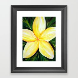 Aloha; White Plumeria Framed Art Print