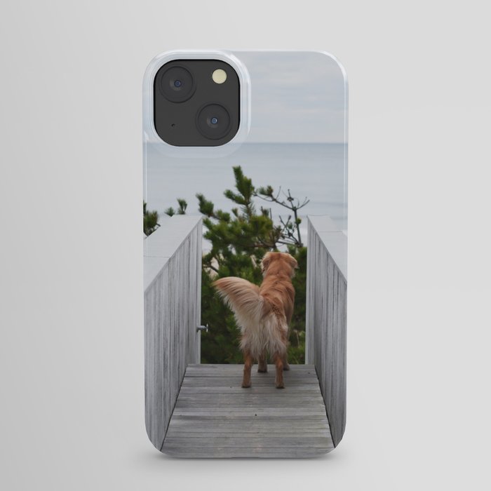 Beach Dog iPhone Case