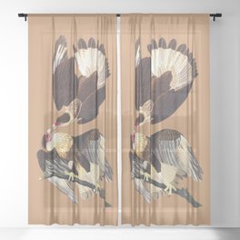 Caracara Eagles by Audubon Sheer Curtain