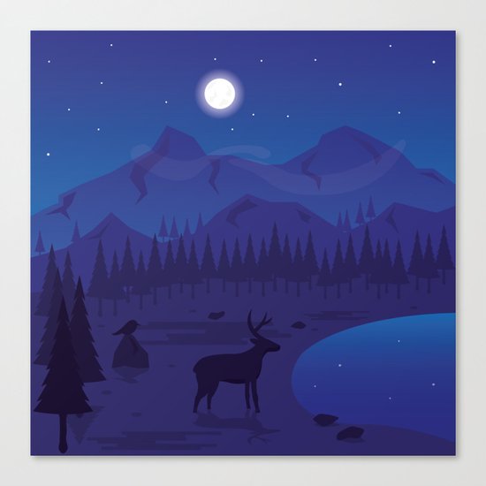 Night landscape Canvas Print