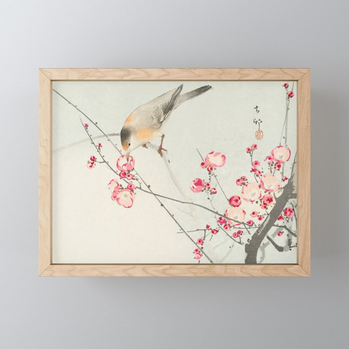 Cute Robin Sitting On Peach Tree Branch - Japanese Vintage Woodblock Print Framed Mini Art Print