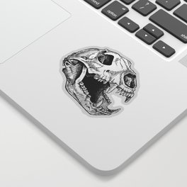 Bear skull Sticker