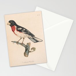 Grosbeak Stationery Cards