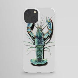 Red Clawed Crayfish iPhone Case