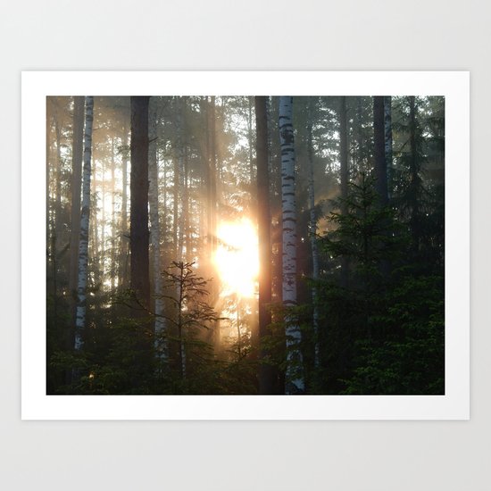 Woods Art Print