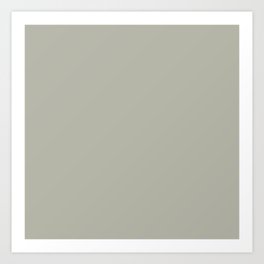 Shell Walk Gray Art Print