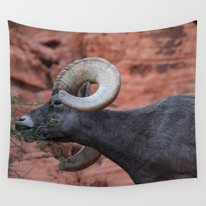 Breakfast - Valley of Fire Resident Wall Tapestry