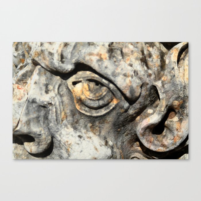 Stone Monster's eye Canvas Print