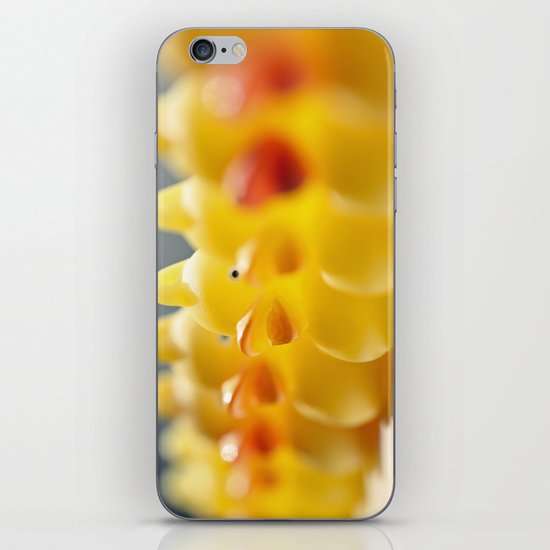 all your ducks in a row iPhone & iPod Skin