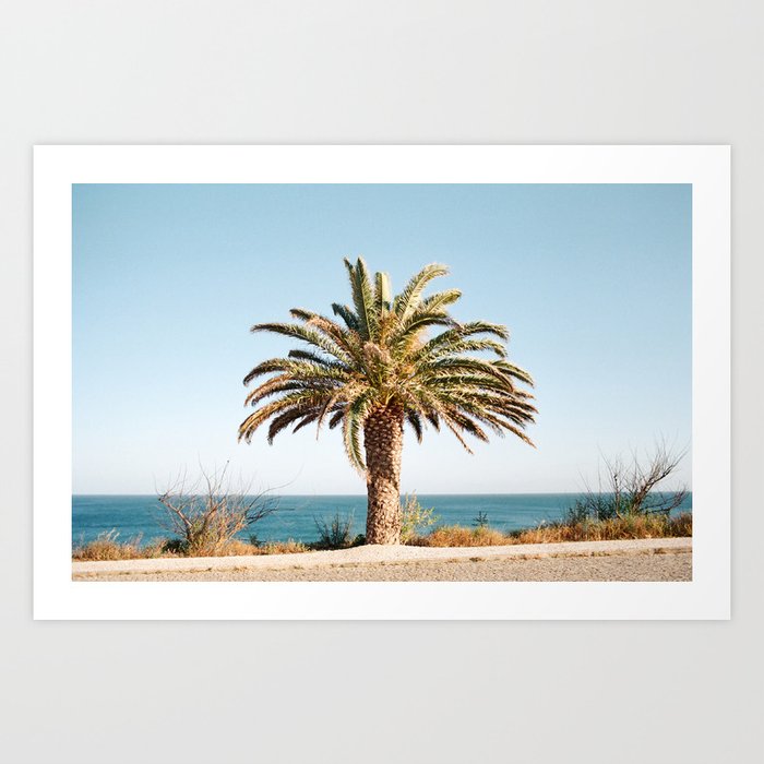 palm tree Art Print