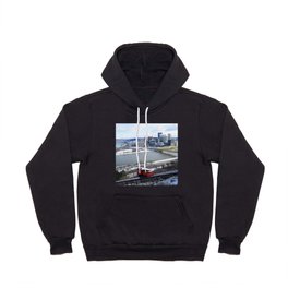 Pittsburgh point and incline in winter 22 Hoody