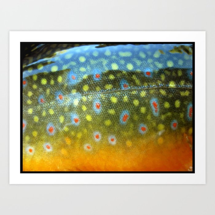 Brook Trout Skin Fly Fishing Art Print by letourneau41