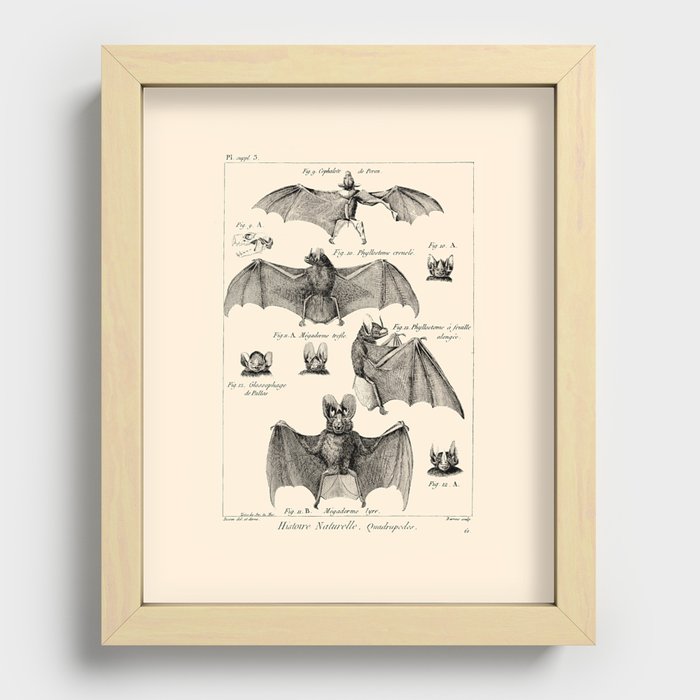 Recessed Framed Print