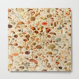 Vintage Mushroom Designs Collection Metal Print | Beige, Graphicdesign, Drawing, Oystermushroom, Red, Edible, Poisonous, Mushroom, Amanita, Retro 