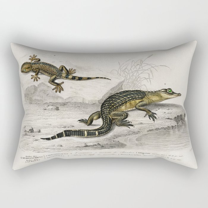 Alligator & Lilford'swall lizard  Rectangular Pillow