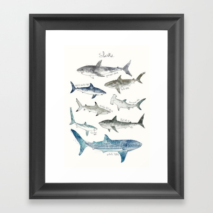 Sharks Framed Art Print