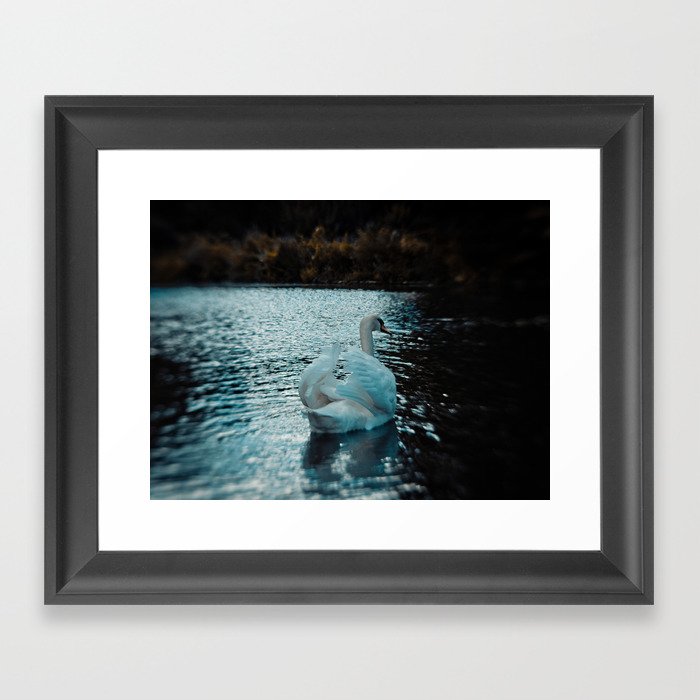 The Swan (2012) Framed Art Print