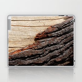 Wood Duo Laptop & iPad Skin
