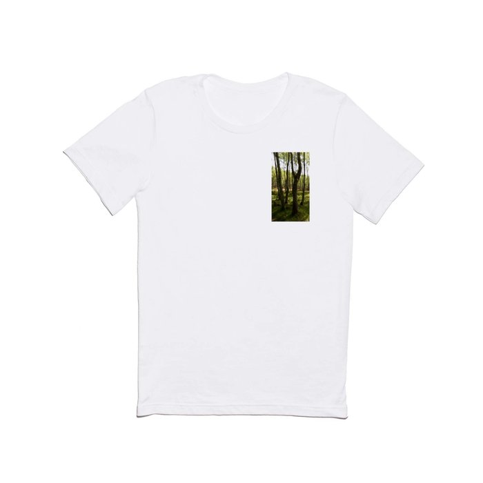 Spring Birch Forest Light and Shadow in the Scottish Highlands T Shirt