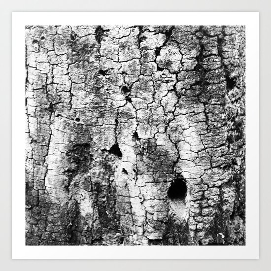 Woodland Wander Art Print