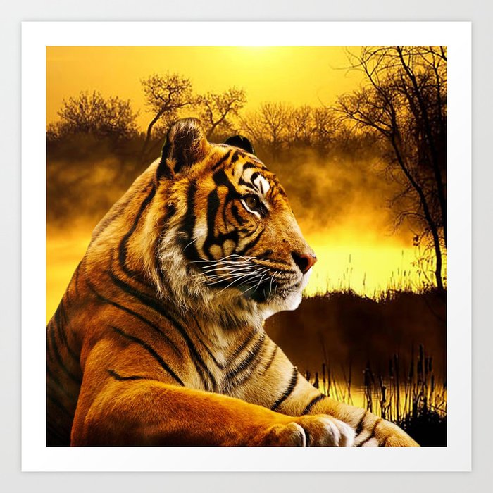 Tiger and Sunset Art Print