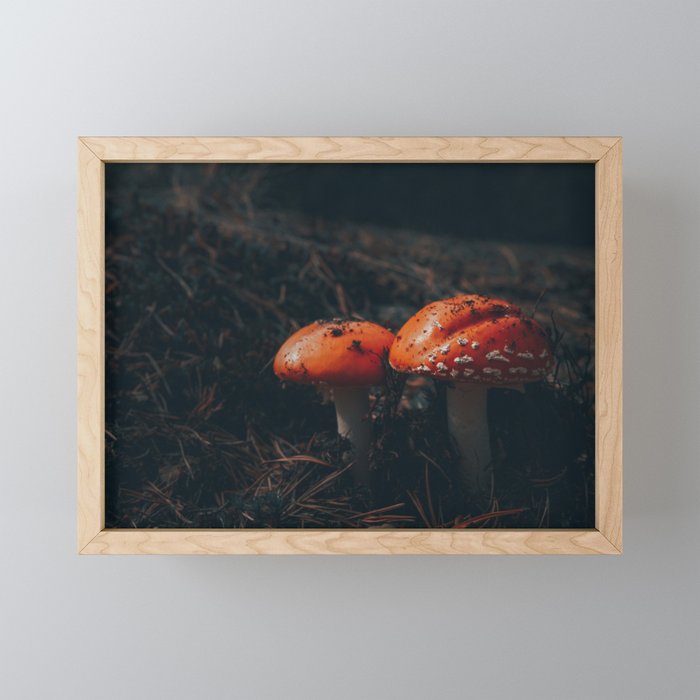 Mushrooms Framed Mini Art Print
