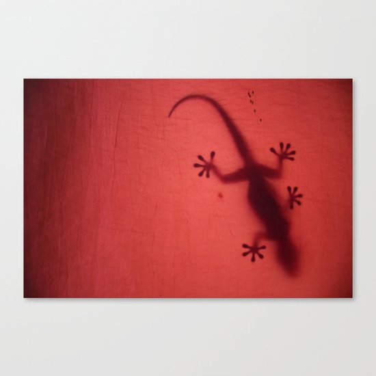 Shadow Canvas Print