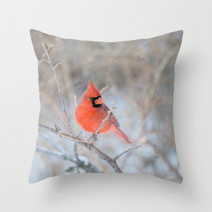 Hanging On: Northern Cardinal Throw Pillow
