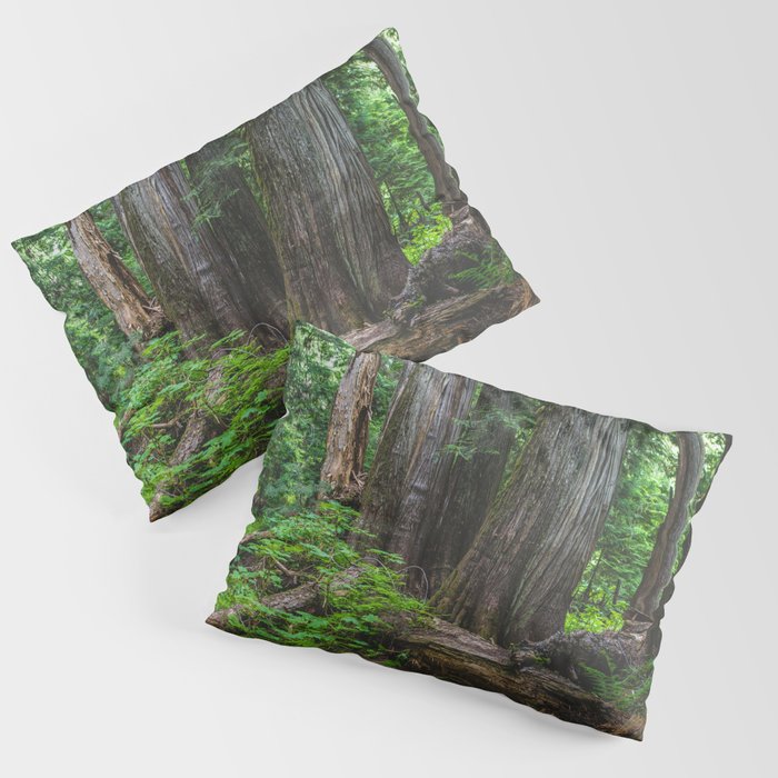 A Cedar Forest Dream Pillow Sham