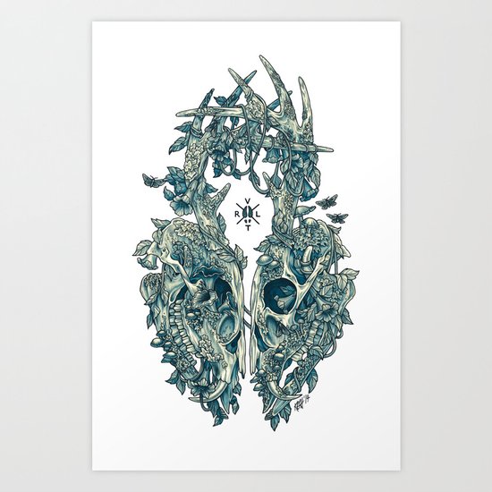 Lichen Art Print