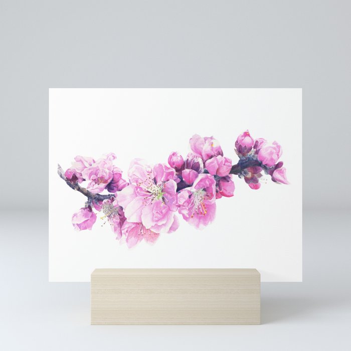 Hanamomo Peach Blossoms Mini Art Print