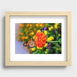 Focus on Summer Recessed Framed Print