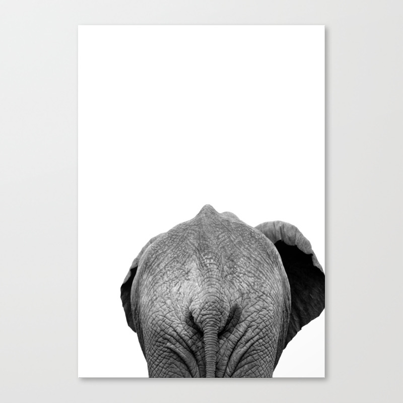 society6