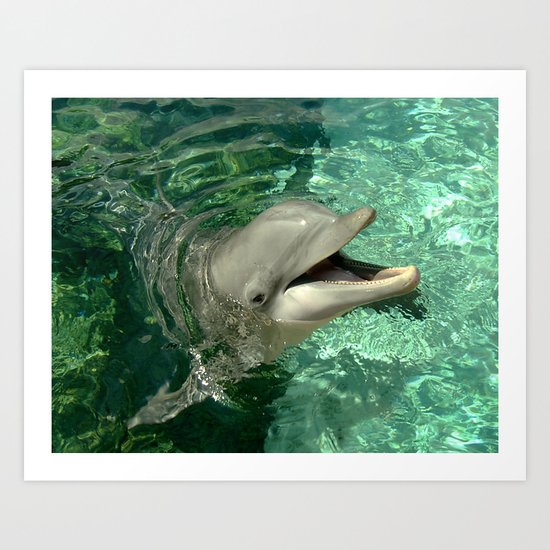 Smiling Dolphin Art Print