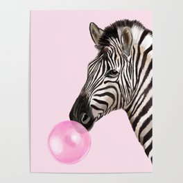 Zebra  Playing Bubble Gum Poster