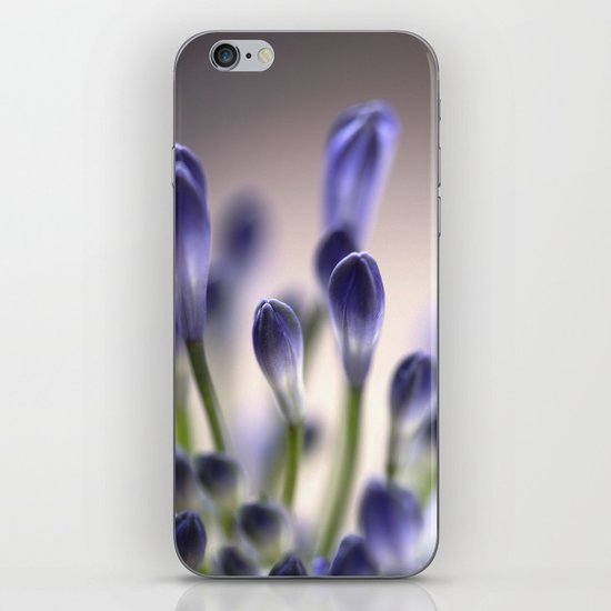 Agapanthus Buds iPhone & iPod Skin