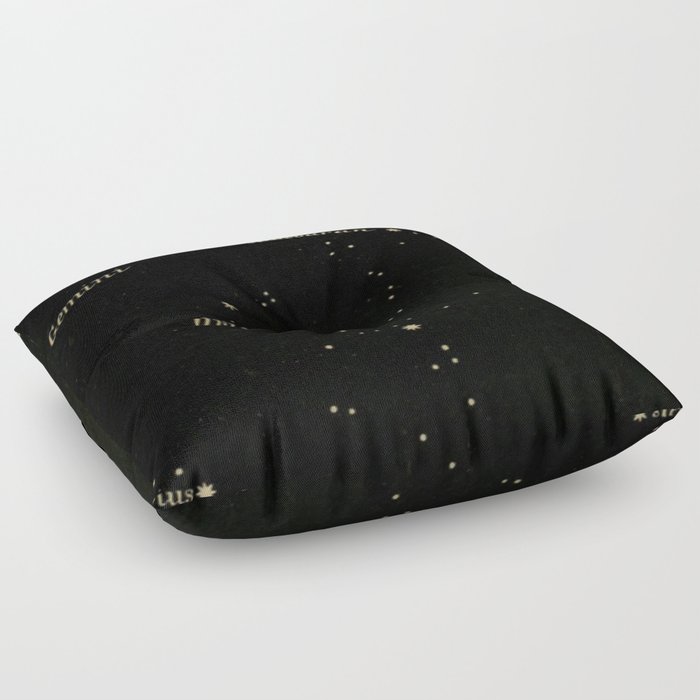 Taurus And Gemini Floor Pillow