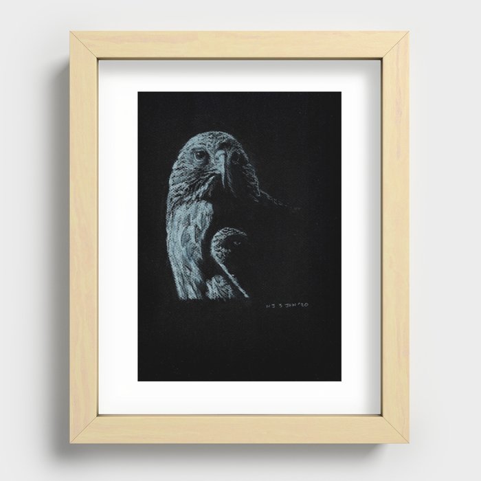 Falcon01 Recessed Framed Print