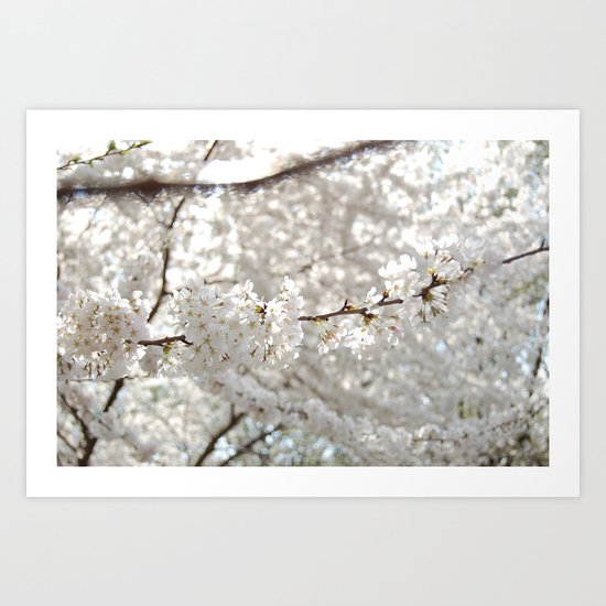 central park Art Print