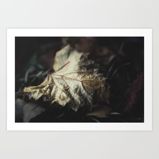 Of Gold Art Print